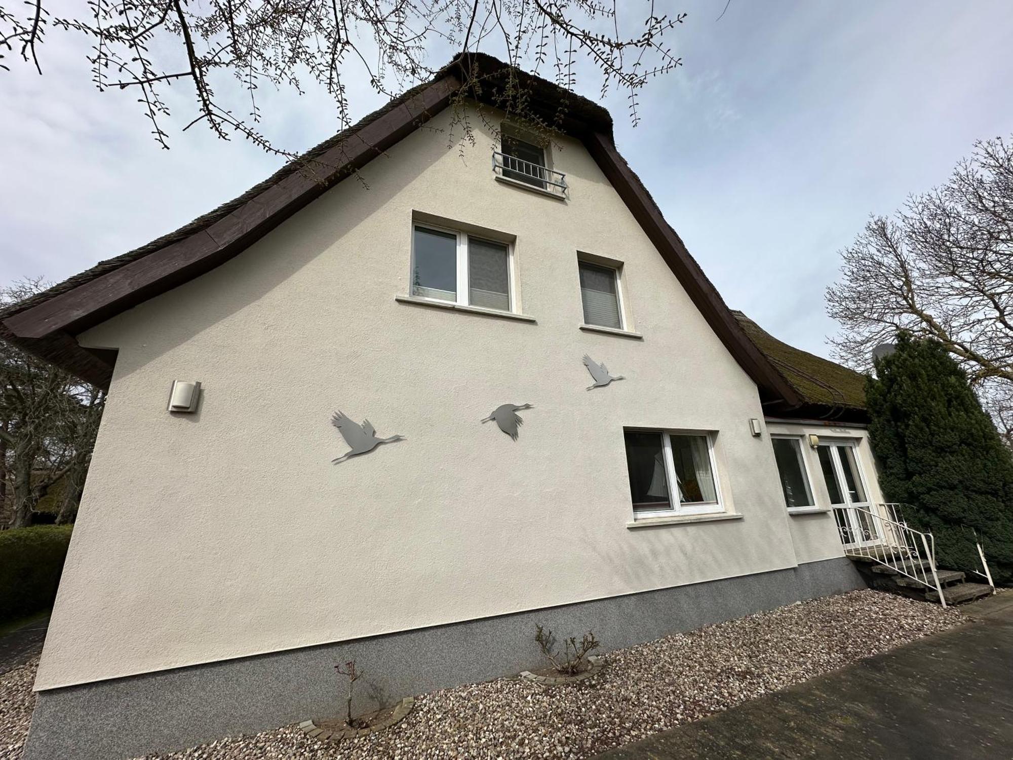 Boddenhaus Darss Leilighet Wieck Eksteriør bilde